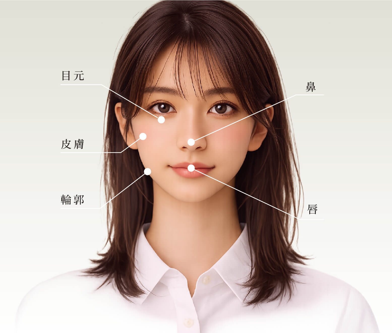 施術部位